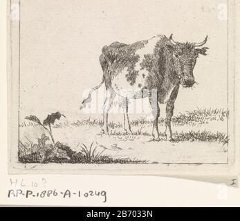 Koe staand in Weiland Cow auf Weide, um zu hauen. Hersteller : Druckmaschine: Johannes Christiaan Janson Datum: 70-1823 Physikalische Eigenschaften: Ätzmaterial: Papiertechnik: Ätzmaße: Plattenkante: H 84 mm × b 97 mm Betreff: Kuh Stockfoto