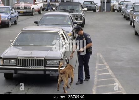 Brownsville Texas USA: Der US-Zoll-Agent sucht mit Hilfe eines drogenschnüffenden Hundes nach Drogen, illegalen Einwanderern und Schmuggelware. HERR ©Bob Daemmrich Stockfoto