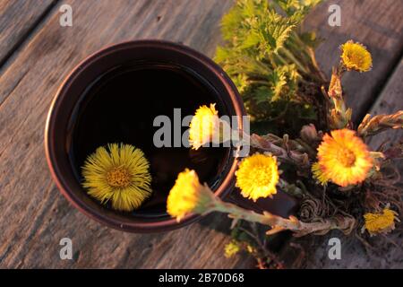 Nahaufnahme von frischem Kräutertee mit Blumen und Brennnessel aus Tussilago (Farfarfarfara) auf Vintage Holztischhintergrund. Draufsicht Stockfoto