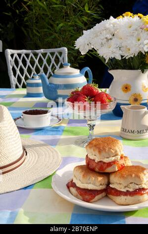 Scones und Erdbeeren in Englsh Seeting in Garden Stockfoto