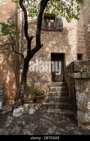 Eingang mit Treppe und altem Baum in der Provence, Frankreich Stockfoto