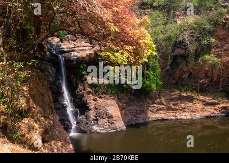 Wunderschönes Landschaftsbild mit langer Belichtung des Harvalem-Wasserfalls mit einem Herbst farbigen Blättern eines Baumes Stockfoto