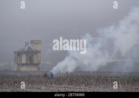 Brennende Rebschnitte in Nuit St Georges, Cotes d oder, Burgstall, Frankreich mit Rauch und Bränden. Stockfoto