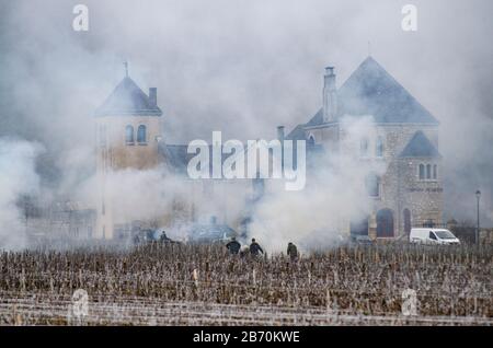 Brennende Rebschnitte in Nuit St Georges, Cotes d oder, Burgstall, Frankreich mit Rauch und Bränden. Stockfoto