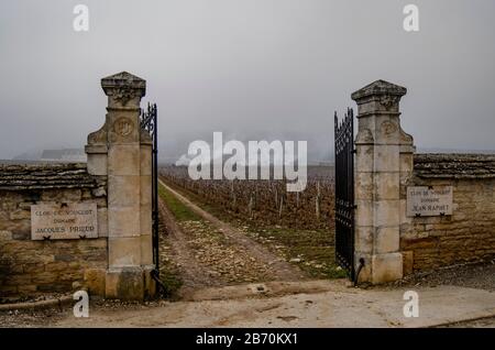 Brennende Rebschnitte in Nuit St Georges, Cotes d oder, Burgstall, Frankreich mit Rauch und Bränden. Stockfoto