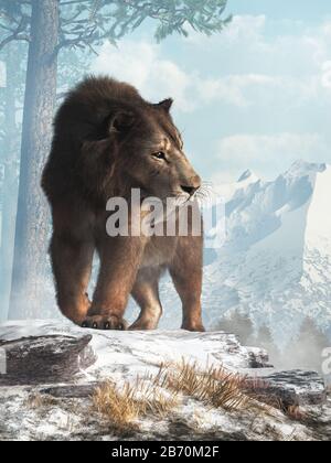 Eine Säbelzahnkatze steht auf einem verschneiten Hügel und blickt ins Tal darunter. Smilodon Populator, die größte Katze überhaupt, lebte während des Pleistozäns er Stockfoto