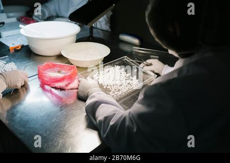 Arbeiter in einer Pharmafabrik Stockfoto