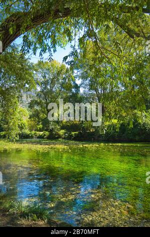 Ruhiger Fluss mit Bäumen in der Nähe von Isle Sur La Sorgue, Vaucluse, Frankreich Stockfoto