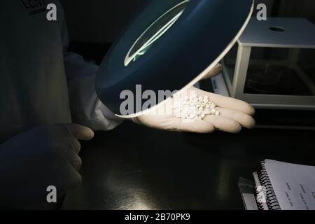 Hände eines Wissenschaftlers, der einige weiße Pillen untersucht Stockfoto