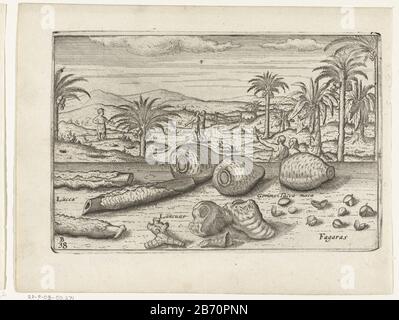 Kruiden en knolgewassen op Java, 1596 Kräuter und Knollen Java, 1596. Galanga (Lanzuas) und turmähnlich. Drucken der nachbearbeiteten Platten für die Originalillustrationen im Reisebericht des Ersten Schiffes Vaert Cornelis de Houtman nach Ostindien in den Jahren 1595-1597. Nr. 38B. Hersteller : Druckhersteller: Anonymer Standort Herstellung: Nordniederland Datum: 1597-1598 und/oder 1646 Physikalische Eigenschaften: Ätzung und Engra-Material: Papiertechnik: Ätzung/Engra-Messungen (Druckverfahren): Plattenkante: H 145 mm × W 220 mmToelichtingGebruikt als Illustration zuerst in: William Lodewijcksz, D'fi Stockfoto