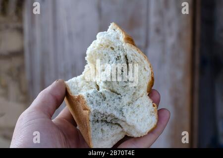 Hand hält schimmeliges Brot. Ein großes Stück Weizenbrot in männlicher Hand. Nahaufnahme. Selektiver Fokus. Seitenansicht. Aufnahmen auf Augenhöhe. Stockfoto