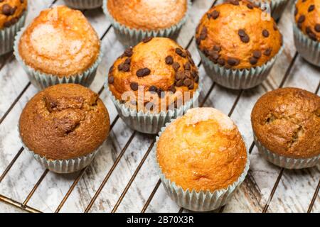 Verschiedene Cupcakes auf einem Backrohr auf einem Holztisch Stockfoto