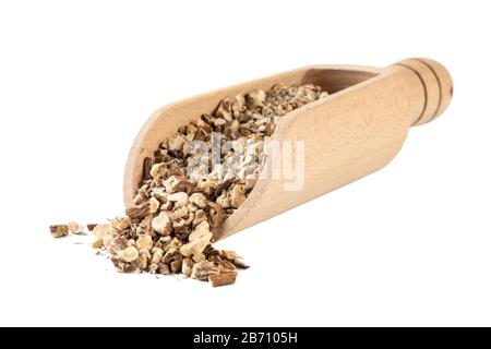 Löwenzahnwurzel oder in lateinischer Taraxaci-Radix in Holzschaufel isoliert auf weißem Hintergrund Heilkräuter. Kräutermedizin. Alternative Medizin Stockfoto