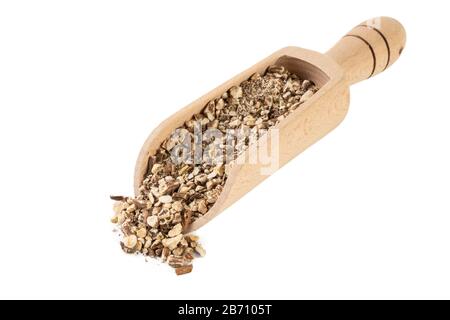 Löwenzahnwurzel oder in lateinischer Taraxaci-Radix in Holzschaufel isoliert auf weißem Hintergrund Heilkräuter. Kräutermedizin. Alternative Medizin Stockfoto