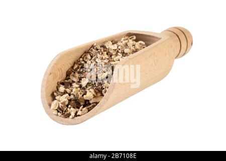 Löwenzahnwurzel oder in lateinischer Taraxaci-Radix in Holzschaufel isoliert auf weißem Hintergrund Heilkräuter. Kräutermedizin. Alternative Medizin Stockfoto