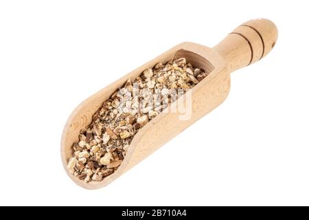 Löwenzahnwurzel oder in lateinischer Taraxaci-Radix in Holzschaufel isoliert auf weißem Hintergrund Heilkräuter. Kräutermedizin. Alternative Medizin Stockfoto