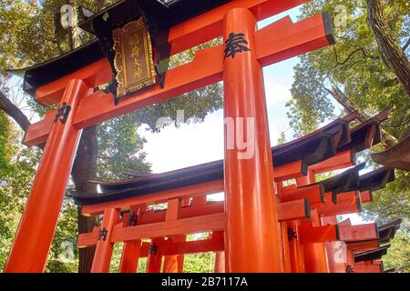 Torii-Tore im Fushimi inari-schrein Stockfoto