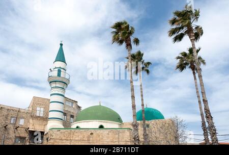 Moschee in der Altstadt von Akko in Israel. In der Nähe der Moschee befinden sich hohe Palmen Stockfoto