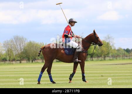 Polo-Spieler erwärmt sich vor Polo-Match Stockfoto