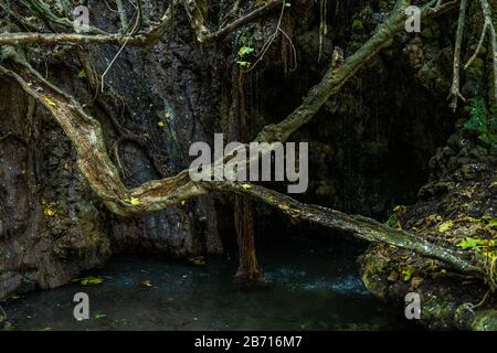 Bäder der Aphrodite-Grotte mit kühlem Teich und Wasserquelle. Stockfoto