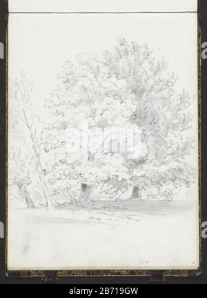 Landschap met boomen Landschaft mit Bäumen Objekttyp: Skizzenblatt Artikelnummer: RP-T-1996-2-41 (R) Beschreibung: Blatt 41 Wiederholung aus einem Skizzenbuch mit 51 bladen. Hersteller: Künstler: Lambertus Lingeman (zugeschrieben) Vom: 1834-1894 Physische Merkmale: Bleistift-Material: Papierbleistift-Thema: Baum Stockfoto