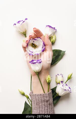 Feine Hand- und Frühlingsblumen von Eustom stehen auf dem weißen Tisch. Naturkosmetik für die Pflege der Handhaut, Feuchtigkeitscreme. Naturblumenextrakt Kosmetik, Schönheit und Mode. Stockfoto
