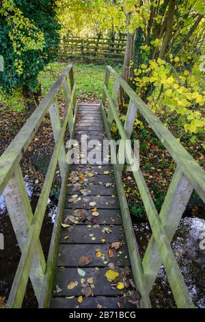 Schmale Holzfußbrücke, die im Herbst einen Fußweg über einen kleinen Bach in ein Feld in Shropshire führt. Stockfoto