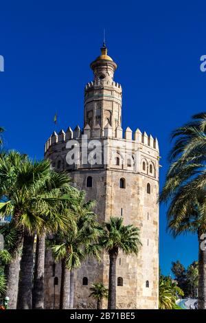 Torre del Oro - mittelalterlichen Wachturm aus dem 13. Jahrhundert und heute Aussichtsterasse und Marinemuseum, Sevilla, Andalusien, Spanien Stockfoto