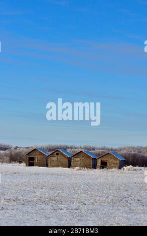 Ein vertikales Bild von vier Körnerlagerschuppen, die am Rand eines Bauernfeldes im ländlichen Alberta Kanada gelagert werden. Stockfoto