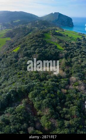 Luftbild der Landschaft und des kantabrischen Eichen-Waldes im Liendo-Tal, Liendo, Kantabrisches Meer, Kantabrien, Spanien, Europa Stockfoto