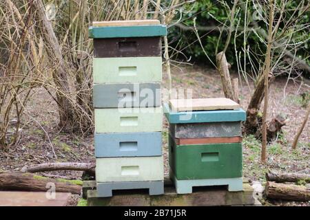 Bee Hive for Honey, Droitwich Spa, Worcestershire England UK. 07/03/2020 Biene Hive for Honey EIN Bienenstock ist eine umschlossene, von Menschen gefertigte Struktur, in der Th Stockfoto