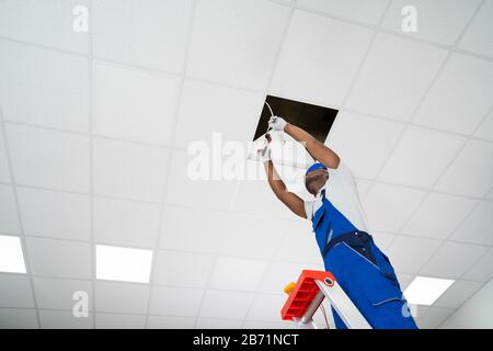 Junge männliche Elektriker Trittleiter Installation Licht an der Decke Stockfoto