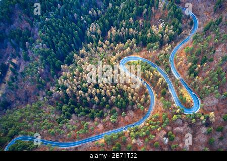 Der Luftbild der kurvenreichen Straße vom hohen Gebirgspass mit Bäumen in Siebenbürgen, Rumänien, in der Herbst-Winter-Zeit geschwungene Straßenansicht per Drohne Stockfoto