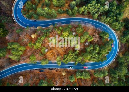 Der Luftbild der kurvenreichen Straße vom hohen Gebirgspass mit Bäumen in Siebenbürgen, Rumänien, in der Herbst-Winter-Zeit geschwungene Straßenansicht per Drohne Stockfoto