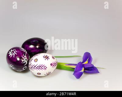 Violette und weiße ostereier mit Iris Stockfoto