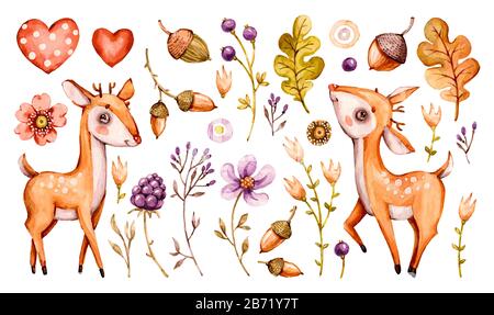 Niedliches Kinderhirsch. Vector Forest Watercolor Baumschul-Cartoon Wald Tiere Hirsche, Blumen Blätter. Schmückende Baumschulen, auf weißem Rücken isoliert Stock Vektor