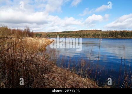 Fewston Resrvoir an einem hellen windigen Tag im Frühjahr 12-03-2020 Stockfoto