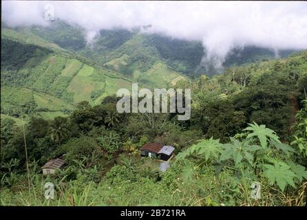 Honduras: Niedrige Wolken hängen über dem hügeligen, stark bewaldeten ländlichen Gebiet Berlins in der Nähe von San Pedro Sula. ©Bob Daemmrich Stockfoto