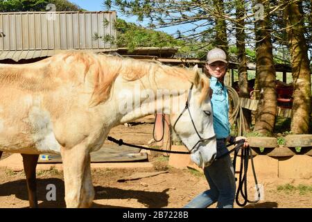 Pferde in Stall werden von einem attraktiven, jungen, lächelnden Cowgirl auf der 900 Acre Gunstock Ranch, Oahu Island, Laie, Hawaii, USA, korral geführt Stockfoto