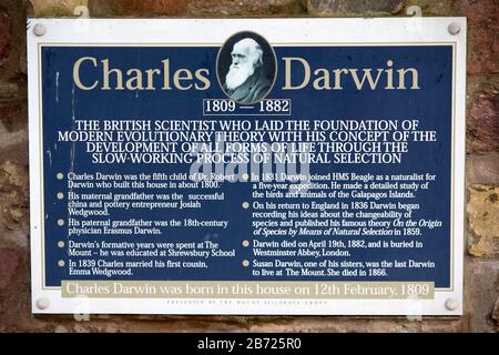 Der Mount in Shrewsbury, Shropshire, Großbritannien, der Geburtsort von Charles Darwin. Stockfoto