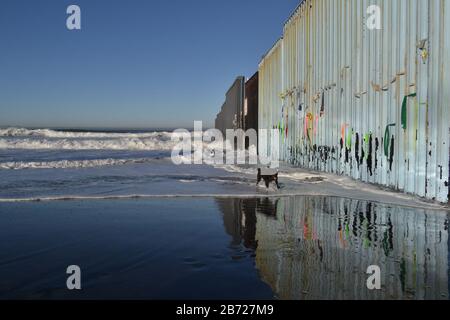 Fröhlicher schwarzer Hund, der in der Nähe der US-Grenze auf Tijuana Baja California läuft und spielt, die Wand von Mexiko aus betrachtet Stockfoto
