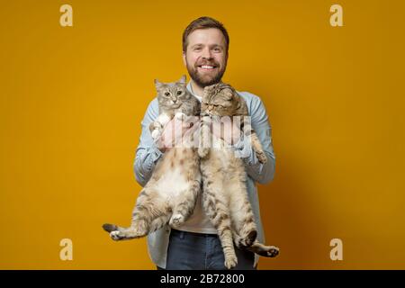 Der glückliche, lächelnde bärtige Mann umarmt seine beiden charmanten, niedlichen Katzen. Konzept der Liebe zu Haustieren. Stockfoto