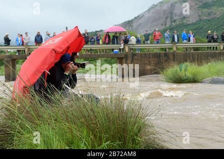 Durban, Kwa Zulu-Natal, Südafrika, Menschen, professionell, arbeiten, Fotograf fotografiert, 2020 DUZI Canoe Marathon, Marian Foleys, Veranstaltungen Stockfoto