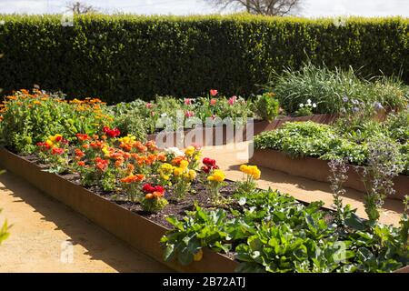 Die Sunset Test Gardens in Sonoma, Kalifornien, USA. Stockfoto