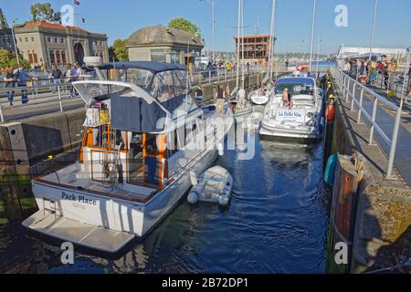 MAI 2018 in SEATTLE, WA: Vergnügungsboote drängen sich in die Schleusen von Chittenden, da sie auf den Wasserstand warten, um den von Lake Washington zu erreichen. Stockfoto