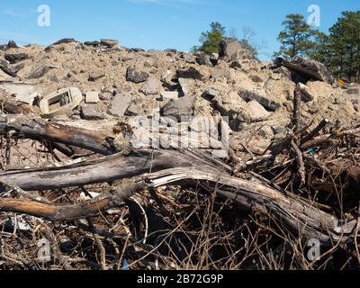 Abgestorbene Bäume, die vor dem Berg von Straßenschutt liegen, Abriss, riesige Abschnitte von Beton und Asphaltstraßenpflaster in der Hintergrundansicht #2 Stockfoto