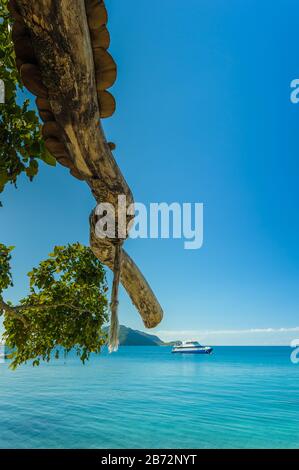 Baum Extremitäten zeigen auf Boote auf dem Ozean vor dem aktuellen Resort auf der malerischen Fitzroy Island vor der Küste von North Queensland in Australien Stockfoto