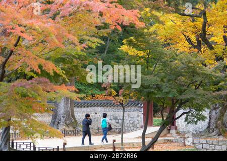 Geheimer Garten im Changdeokgung Palace (UNESCO-Weltkulturerbe), Seoul, Südkorea Stockfoto