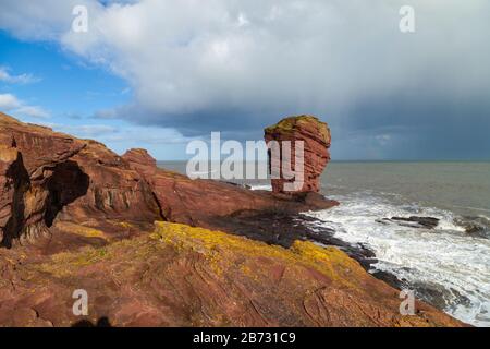 The Deil's Heid (Devils Head) Red Sandstone Sea Stack, Seaton Cliffs, Arbroath, Angus, Schottland Stockfoto