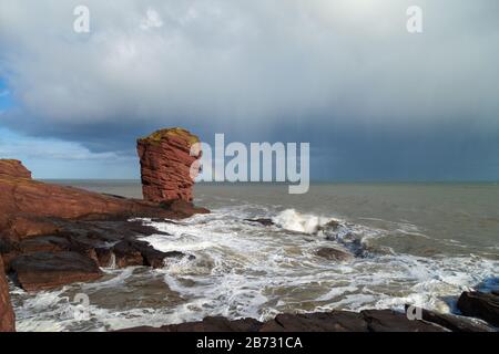 The Deil's Heid (Devils Head) Red Sandstone Sea Stack, Seaton Cliffs, Arbroath, Angus, Schottland Stockfoto